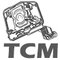 Elektronische Blöcke (TCM) - 0AM (DQ200)
