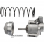 Bremsbandkolben für Unter-/Rückwärtsgang FORD 5R55S, 5R55W – mit beschädigtem Siebfilter, Innendurchmesser des gummierten Kolbens 42 mm, 2L2P-7D036-AA, 2L2P-7D193-AA, 1L2P-7D036-AB