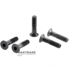 Befestigungsschraubensatz DSI M11 0511-183230 – 5 Schrauben (M6x1,0x25)