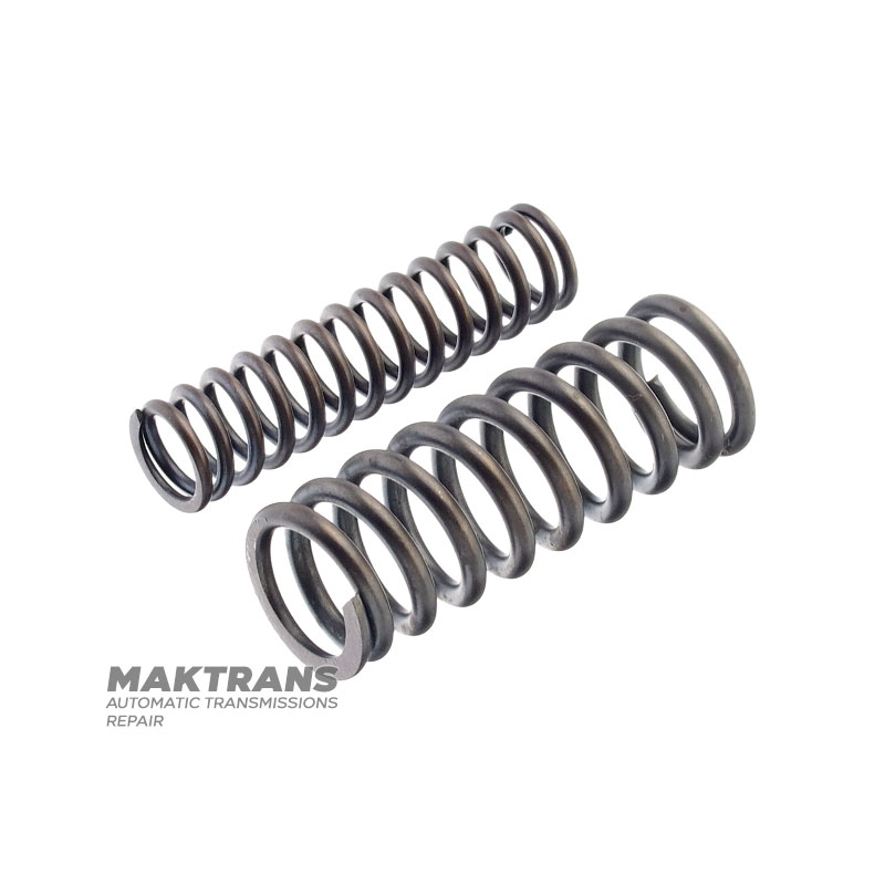 Satz Rückholfedern für den Kolben des Hydraulikspeichers C1 Kupplung 9050121040, 9050120173 - Außenfeder (Länge 46,80 mm, Stangendurchmesser 2,45 mm), Innenfeder (Länge 45,10 mm, Stangendurchmesser 1,60 mm)