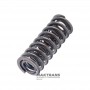Satz Rückholfedern für den Kolben des Hydraulikspeichers C1 Kupplung 9050121040, 9050120173 - Außenfeder (Länge 46,80 mm, Stangendurchmesser 2,45 mm), Innenfeder (Länge 45,10 mm, Stangendurchmesser 1,60 mm)