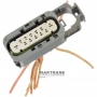 Stecker mit externen Verdrahtungsdrähten zum Anschluss des Wählhebelpositionssensors ALLISON 1000, 2000, 2400 – (12 Pins, 9 Drähte)