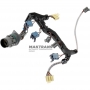 ALLISON 1000, 2000, 2400 Verkabelung der Hydraulikeinheit – 29543336 (Hauptstecker 28 Pins, 9 Stecker)