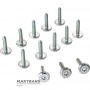Ölwannenfilter ZF 8HP — 1111298018 (mit Schraubensatz), für Fahrzeuge mit Start-Stopp-System