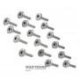 Ölwannenfilter ZF 8HP60 (GN8X60CZ), 8HP80 (GN8X80DZ) — 24115A13223