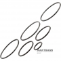 Ford 8F24 Teflonring-Satz – 7 Ringe im Set