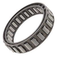 ZF 6HP32 BW-SP-1 Drehmomentwandler-Freilaufkupplung – 24 Sperrelemente