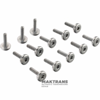ZF 8HP45, 8HP70, 8HP65A, 8HP90, 8HP90A Ölwannenschrauben-Set aus Kunststoff – 13 Schrauben pro Set